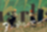 Image-empty-state.png