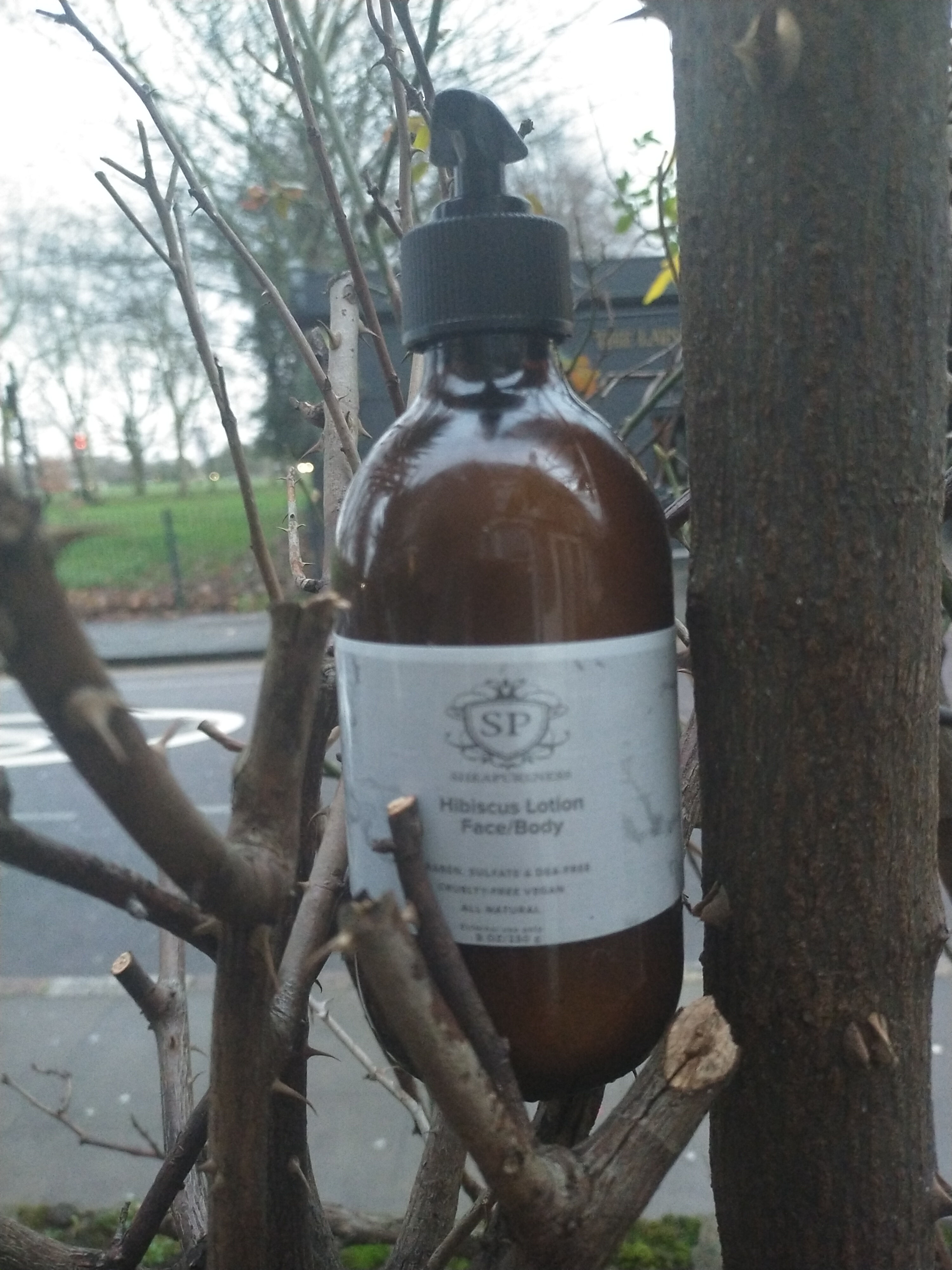 Hibiscus & Shea Face Lotion