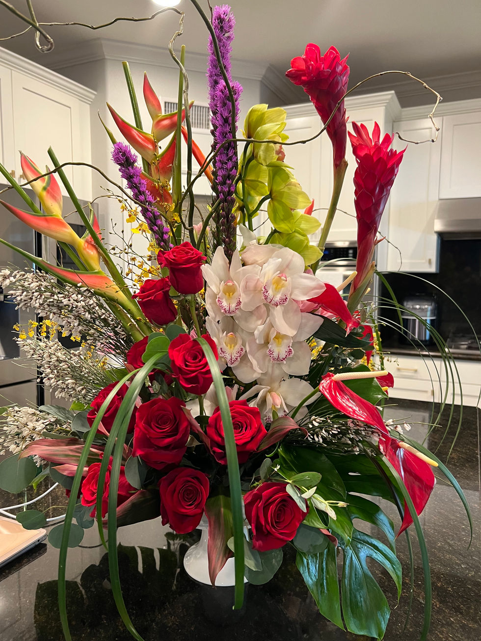 Photo Feb 11 2023, 3 08 07 PM (1)