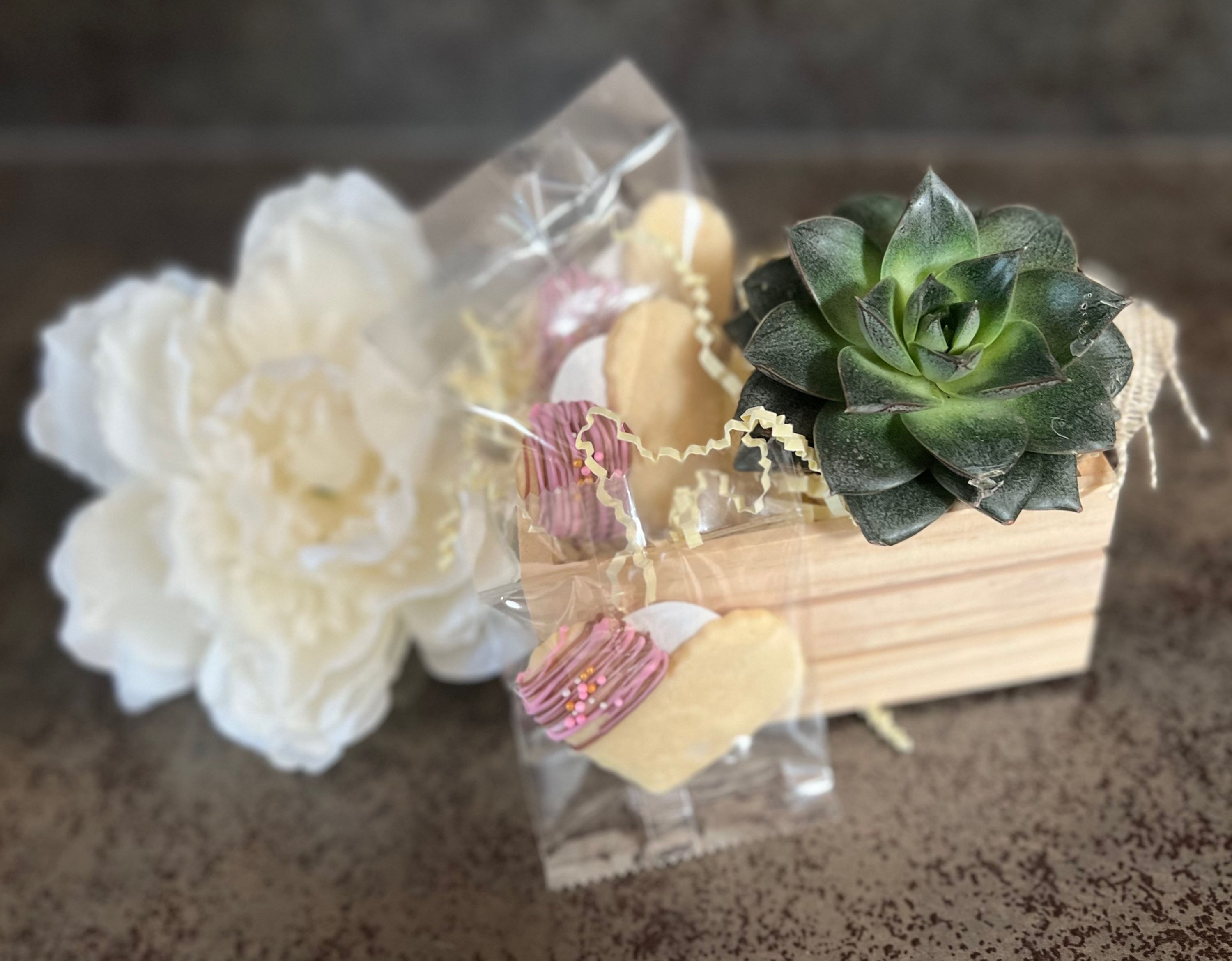 Shortbread & Succulent Mini gift set