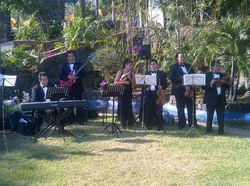 579578_196412720476438_834826065_n