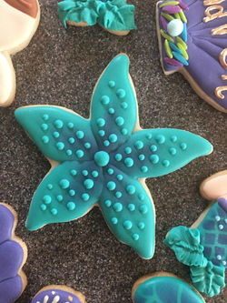 starfish