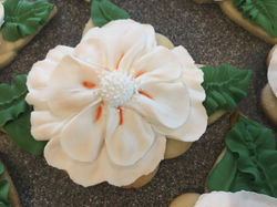 Magnolia Flower
