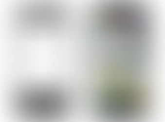 Android から iPhone への引っ越しアプリ Move to iOS 発表