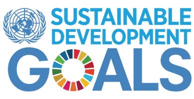 Elementalz Inc. Support UNSDG renewable energy goal