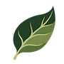ChatGPT Image Oct 1, 2026, 03_54_17 PM.png