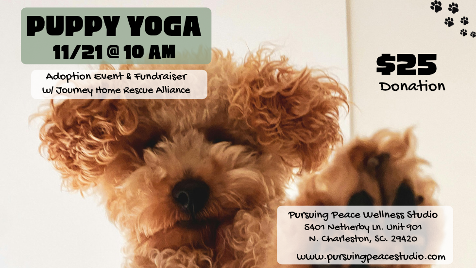 Puppy Yoga & Adoption Event