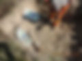 DSCN2142.JPG