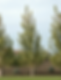 Picture6.png