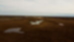 Temporary Wetland-spring_edited.jpg