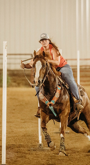 performance horse pole bending