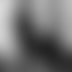 We now offer the VR experience to our clients....