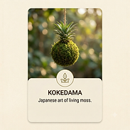 Kokedama.png
