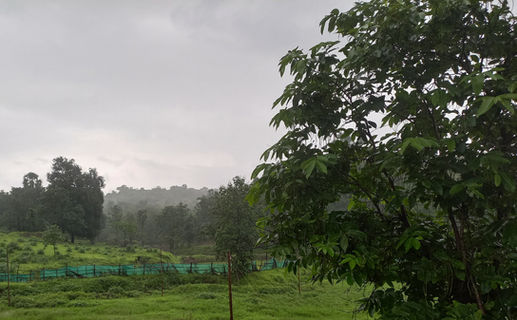 Actual photos of FOODnSTAY, Karjat.