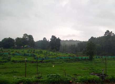 Actual photos of FOODnSTAY, Karjat.