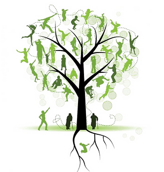 Your Family History is your Master Key to Discover Health Full Of Life.