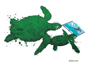 turtle (Trans).png