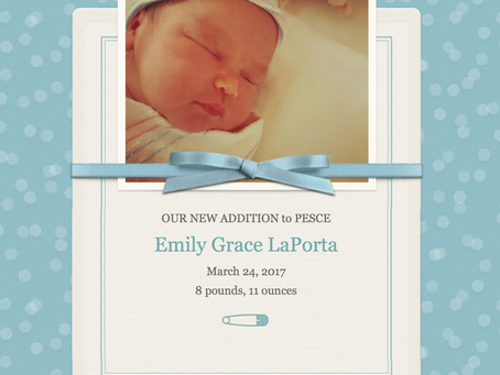 Welcome the Newest Addition to Pesce