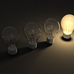 Bright Idea Bulb