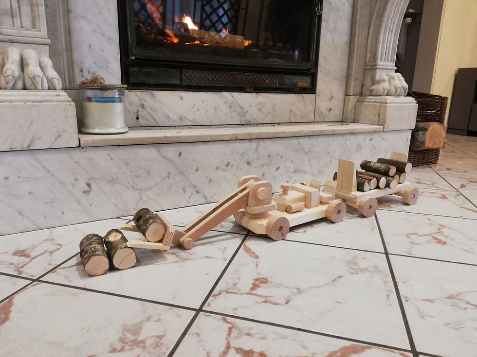 Miniature : - CHARGEUR A FOURCHES -