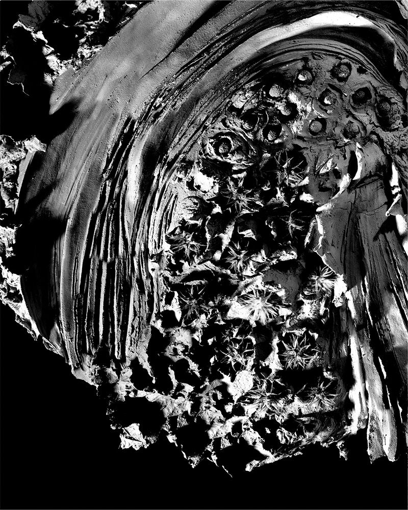 Large Particle Scan (ash)