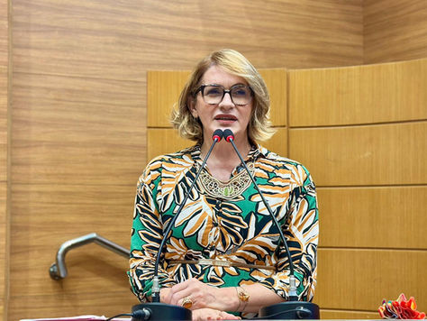 Linda Brasil defende ações preventivas e critica falhas na proteção às mulheres