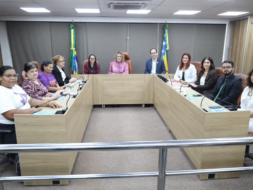 Audiência Pública debate falhas na proteção às mulheres em Sergipe