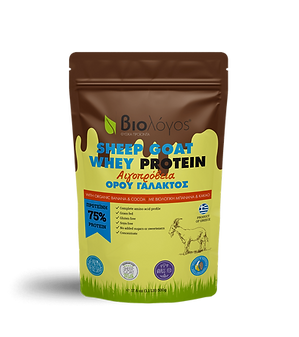 Whey Protein