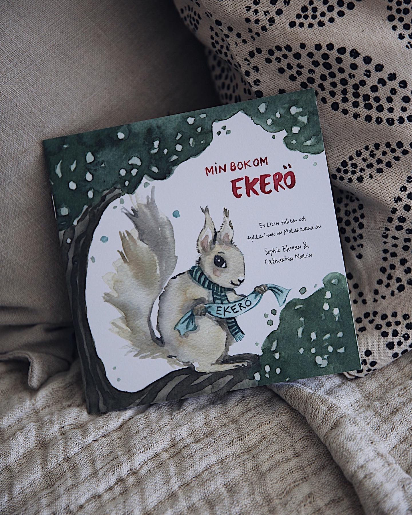 Omslaget Boken om Ekerö