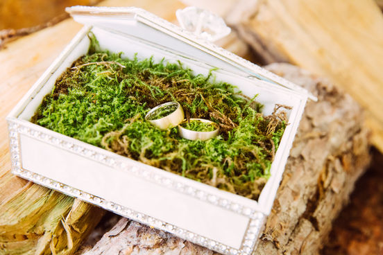 Hochzeit Bad Zwischenahner Meer