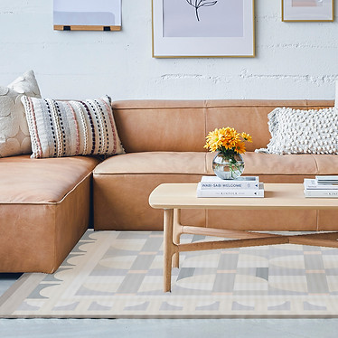 rug wiener copy.jpg