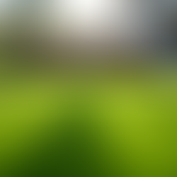 Find the Best Lawn Mowing Company in Broadway NC with East Coast Cleanup Crew