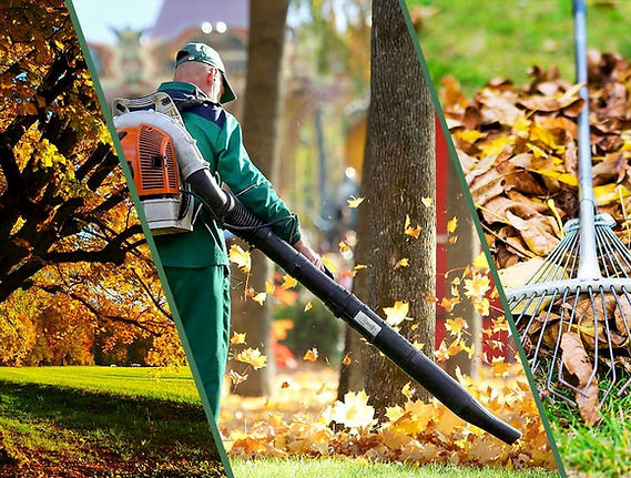 1a-better-clean-up garden lawn yard nc.jpg