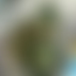 「不思議だな～」を楽しむ。