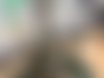 アデニウムアラビカムの意外な冬眠のさせ方