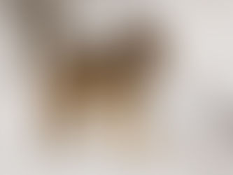 Microfiction: Lone Wolf