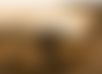 The DCEU Discussion – Part IV - Episode 2: Batman v Superman: Dawn of Justice - Rules of Fightclub