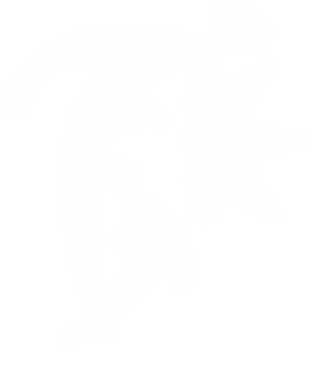 DeathMarkNew_NoBG.png