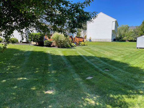 462542371_426579607141642_463162881570192915_n