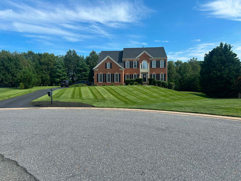 Lawn Mowing
