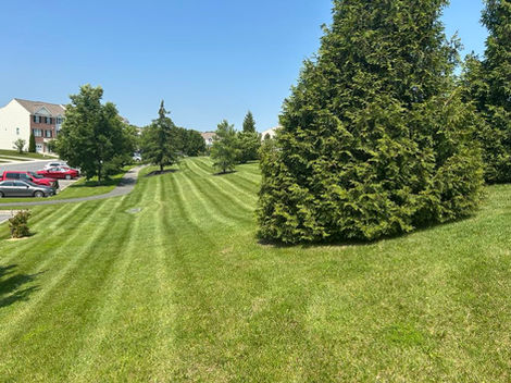 Trails at Beech Creek HoA Aberdeen Maryland Landscape and lawncare. Mulching Mowing Flowers and bushes