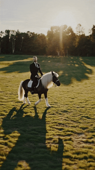 Je peux pas j'ai poney