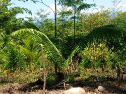 WhatsApp Image 2019-11-18 at 6.40.40 PM