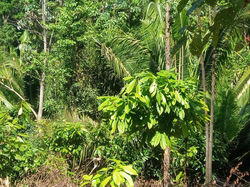 WhatsApp Image 2019-11-18 at 6.35.17 PM