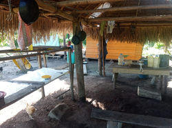 WhatsApp Image 2020-05-12 at 9.21.08 AM (2) - Kopie