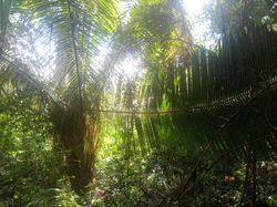 WhatsApp Image 2020-06-06 at 10.09.59 AM (1) - Kopie