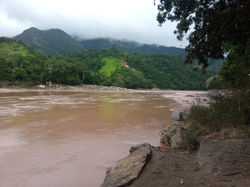 WhatsApp Image 2019-11-24 at 2.07.54 PM(2)