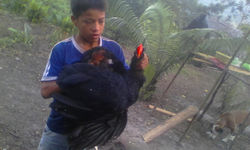 WhatsApp Image 2020-03-27 at 9.17.18 AM - Kopie