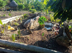 WhatsApp Image 2020-06-26 at 4.50.15 PM - Kopie