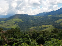 WhatsApp Image 2020-05-14 at 11.52.10 AM (5)